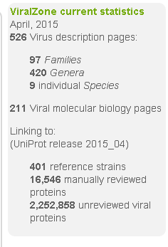 Viral Zone의 바이러스 분류현황