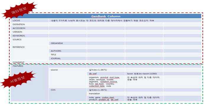 GenBank 메타정보 항목