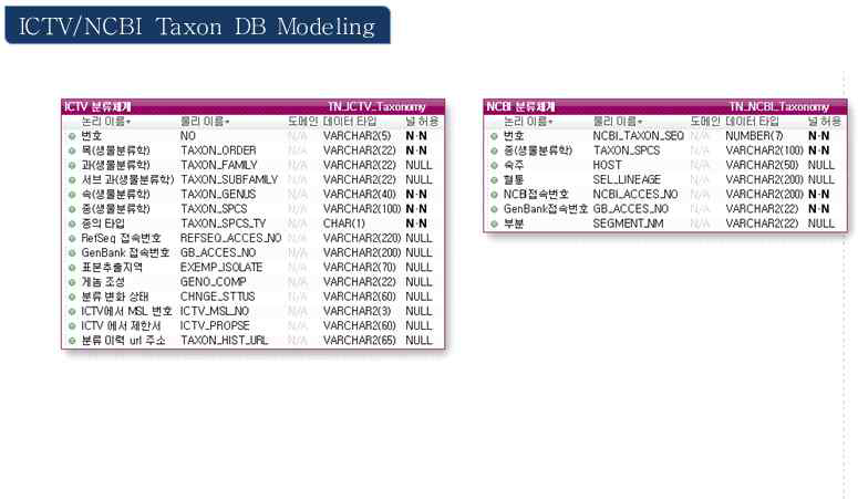 Taxonomy DB 논리/물리 모델