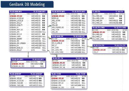 GenBank DB 논리/물리 모델