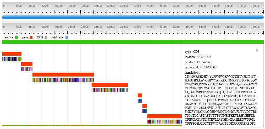 GenBank 기반의 Genome Browser