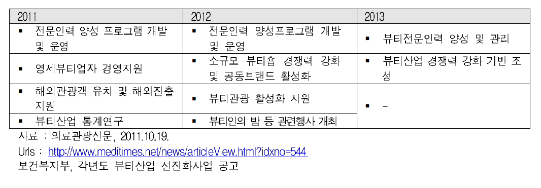 뷰티산업 선진화 사업 세부내용