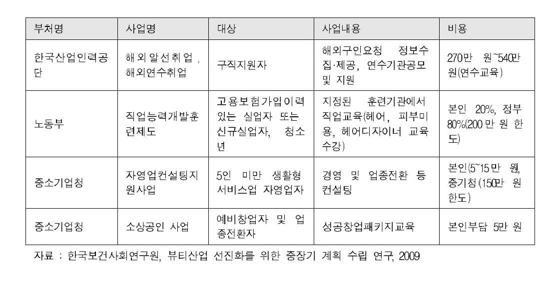 각 부처별 이·미용업 관련 자영업자 및 근로자 지원 정책 현황