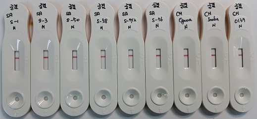 살모넬라균 6종, 콜레라균 3종 음성반응 검사결과