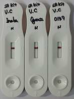 살모넬라용 신속진단키트의 콜레라균 3종에 대한 음성반응 검사결과
