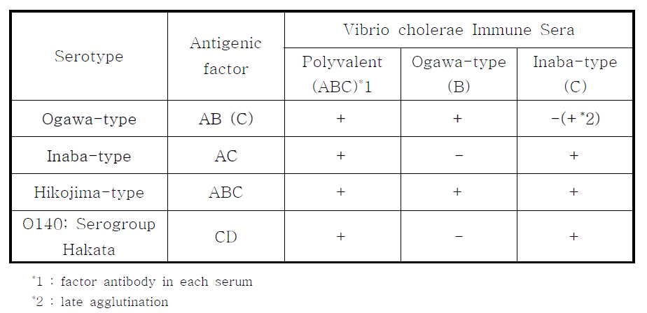콜레라균의 혈청형 별 항원인자 분석