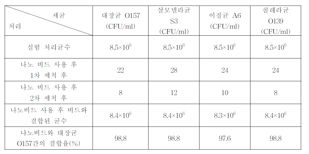 Trimer protein G와 대장균 O157, 살모넬라균 S-3, 이질균 A6 및 콜레라균 O139에 대한 항체가 결합된 Ni-MNP 비드에서 대장균 O157, 살모넬라균 S-3, 이질균 A6 및 콜레라균 O139의 결합 효율