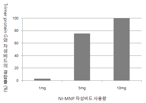 Ni-MNP 비드 사용량에 따른 trimer protein G의 결합 효율