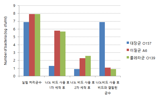 Trimer protein G와 대장균 O157에 대한 항체가 결합된 Ni-MNP 비드의 대장균 O157의 결합