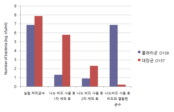 Trimer protein G와 콜레라균 O139에 대한 항체가 결합된 Ni-MNP 비드의 콜레라균 O139의 결합