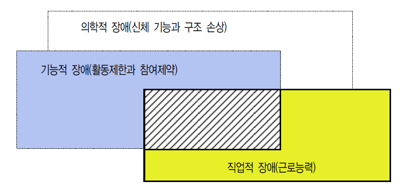 장애분류와 장애의 구성요소