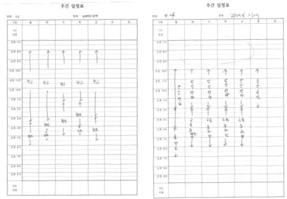 발달장애인 주간 활동 예