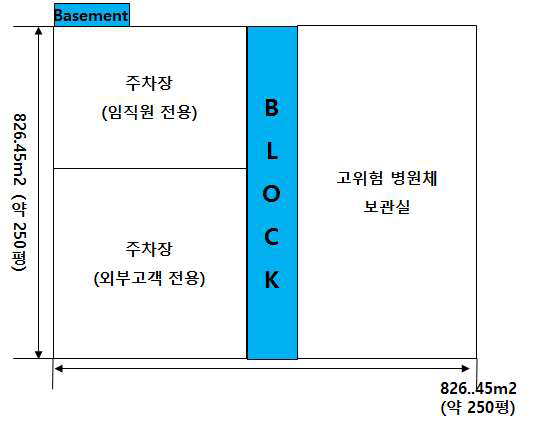 Basement Layout