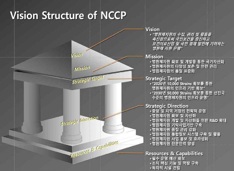 Vision Structure of NCCP