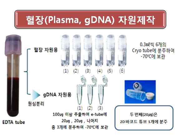 혈장(Plasma), gDNA 자원 제작