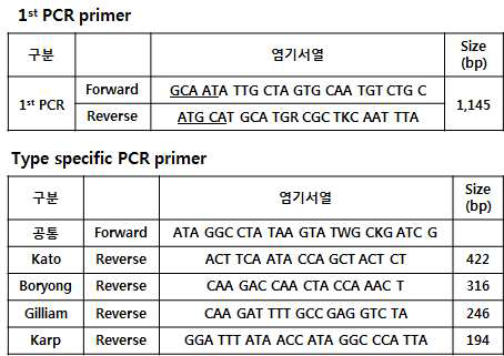 Specific Primer Sequence for Orientia tsutsugamushi