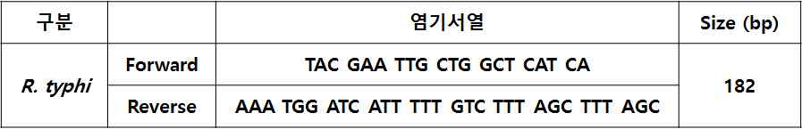 Specific Primer Sequence for R. typhi