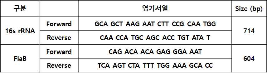 Specific Primer Sequence for Borrelia