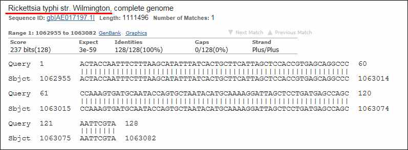 Sequence analysis of R. typhi