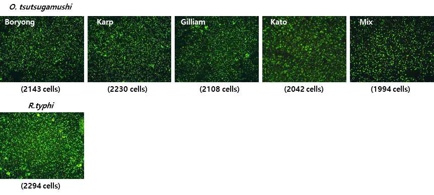 Confirmation of antigen diluent