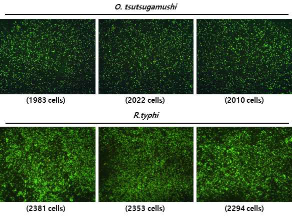 Antigen slides validation results