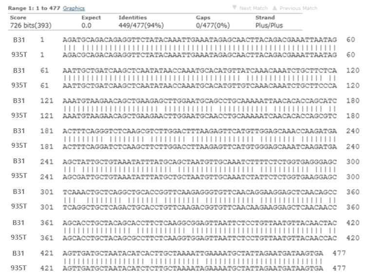 Comparison of FlaB gene sequences of Lyme disease strains