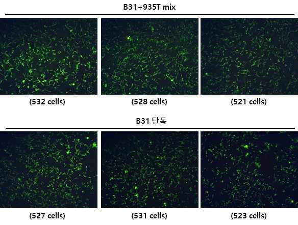 Lyme disease antigen slides validation results