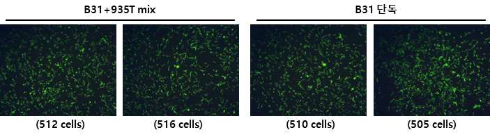 The validation results of lyme disease antigen slides