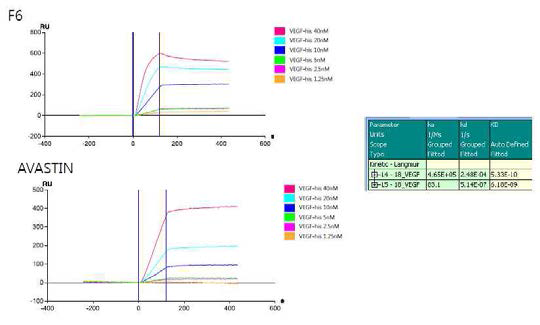 Anti-VEGF 항체의 VEGF에 대한 SPR 측정에 의한 결합력 비교의 예
