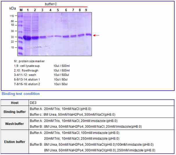 BoNT B receptor binding domain small (30kDa) binding test result