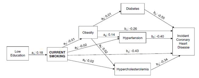 Path analysis for indirect effects of low education through current smoking and other factors on CHD risk