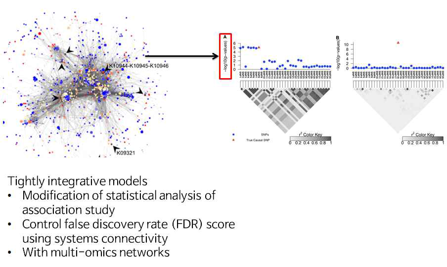 Tightly coupled model. GWAS에서 유의한 변이를 탐지하는 확률 모델을 변형하여, 기 포함된 통합 네트워크의 연결성을 고려하도록 하는 모델