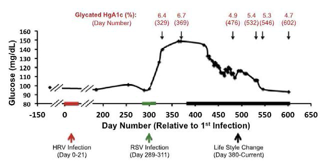 혈중 glucose 농도 변화와 이를 통한 맞춤처방의 효과