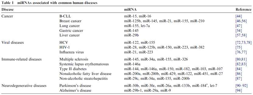 다양한 질병 특이적인 miRNAs