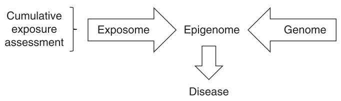 Exposome과 genome의 상호작용