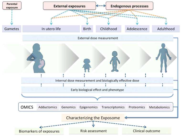 생애 전 주기에 대한 Omics 기술을 적용한 Exposome의 특성 평가