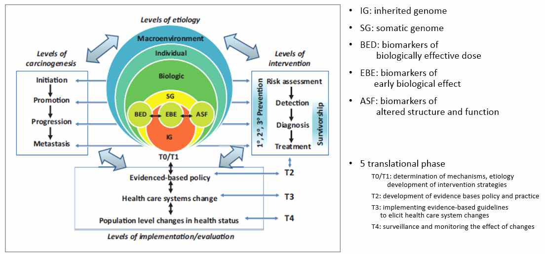 Multilevel biologic and social integrative construct