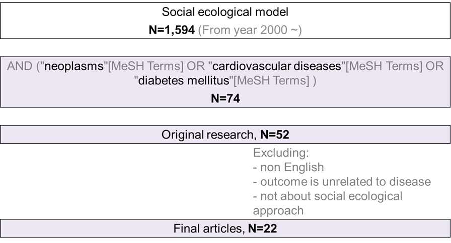 Search strategies for social ecological approach; diseases-oriented.