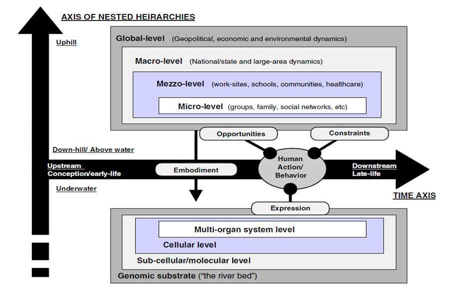 다차원공간으로 묘사되는 사회-행태-생물학 연합체(The society-behavior-biology nexus as depicted in multidimensional space).