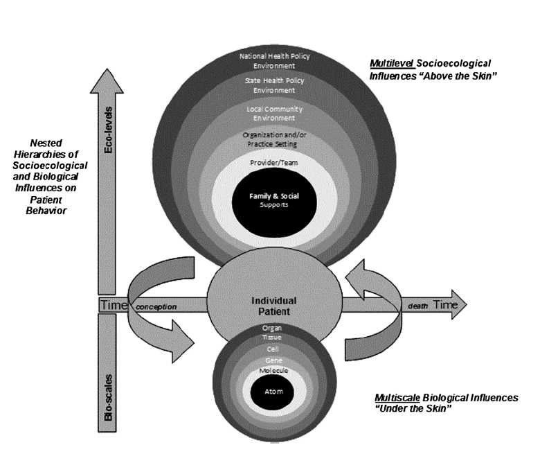 Multiscale and multilevel influences in cancer prevention and control