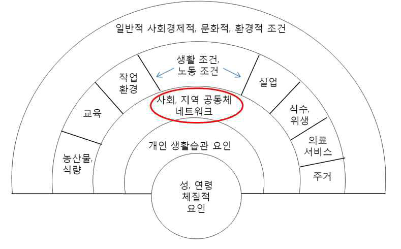 건강의 다층적 결정요인 모형