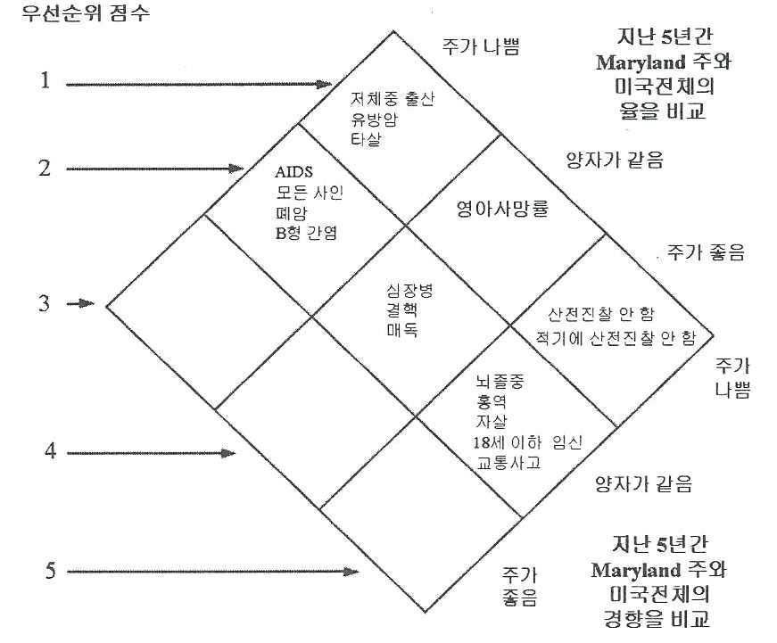 건강문제의 우선순위를 결정하기 위한 황금 다이아몬드