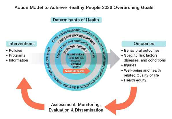 미국의 Healthy People 2020의 건강결정요인과 접근모형