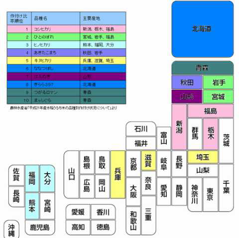 일본 지역별 주력품종 현황