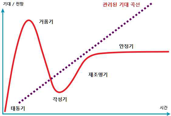 하이프 곡선과 관리된 기대곡선