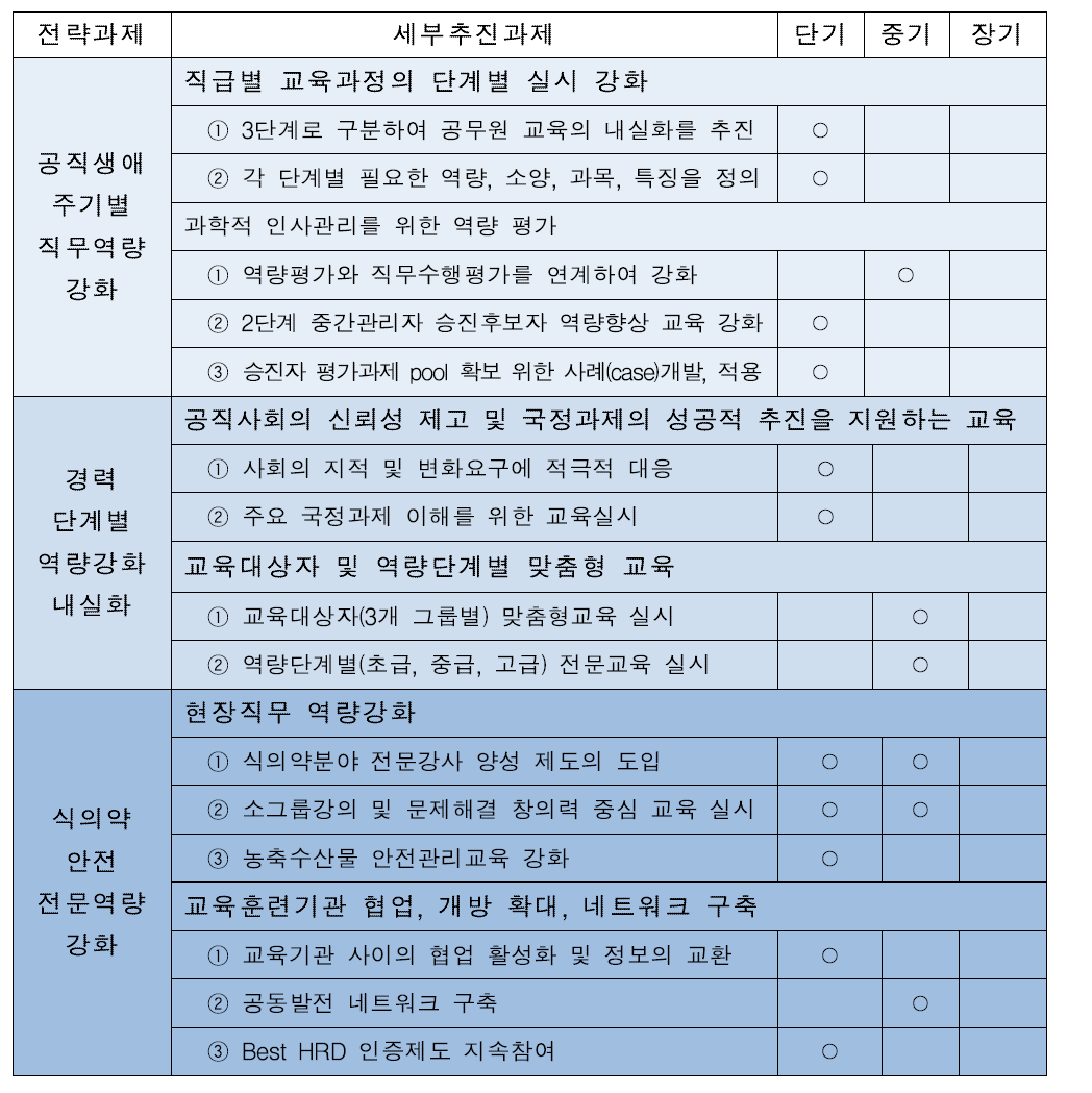 인재개발 역량강화 전략과제별 세부추진과제 중장기 전략 과제