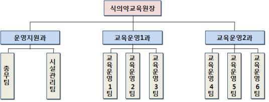 (가칭) 식의약 안전 인력개발원 조직도