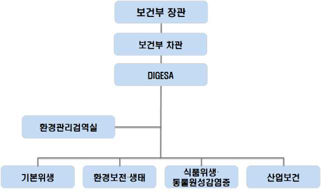 DIGESA 조직도