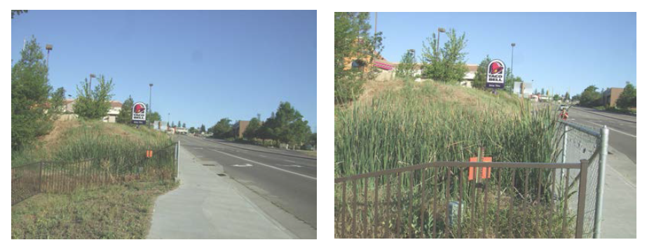 반건조 지역의 도로에 설치된 인공습지 (미국 캘리포니아 Oakhurst 시)
