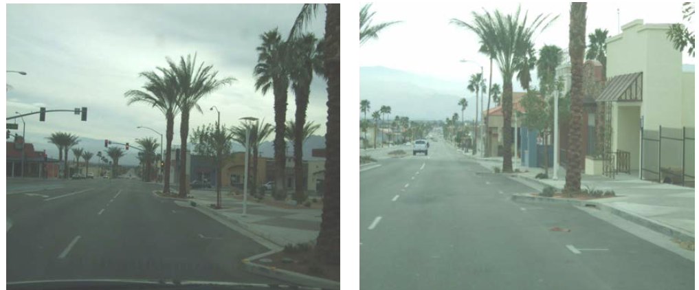 건조 지역의 도로에 설치된 나무여과상자 (미국 캘리포니아 Palm Springs 시)